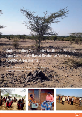 Understanding Community Resilience: Findings from Community-Based Resilience Analysis (Cobra) Assessments