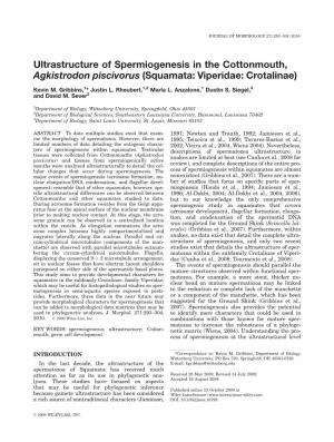 Ultrastructure of Spermiogenesis in the Cottonmouth, Agkistrodon Piscivorus (Squamata: Viperidae: Crotalinae)