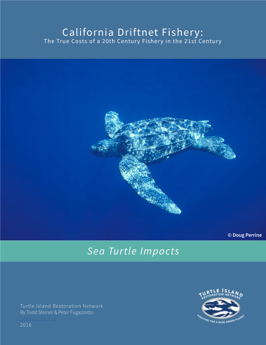 Leatherback Sea Turtles P