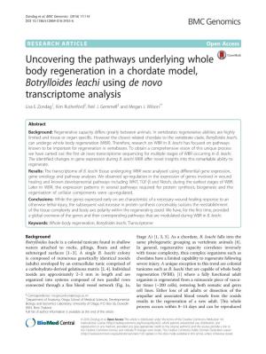 Uncovering the Pathways Underlying