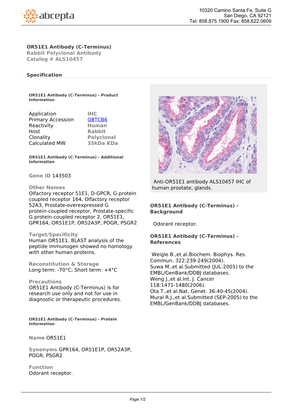 OR51E1 Antibody (C-Terminus) Rabbit Polyclonal Antibody Catalog # ALS10457