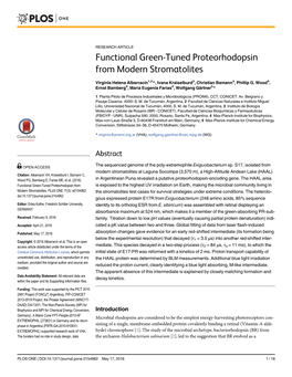 Functional Green-Tuned Proteorhodopsin from Modern Stromatolites