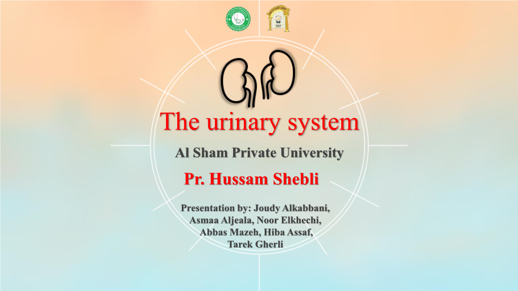 The Urinary System Al Sham Private University Pr