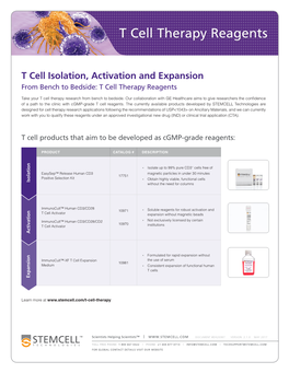 T Cell Therapy Reagents