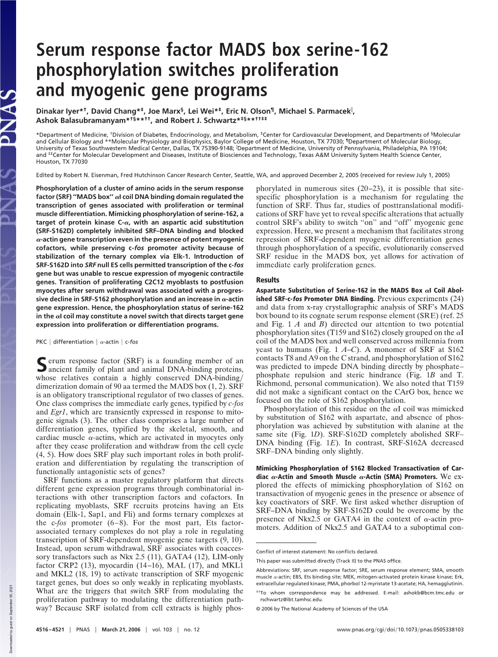 Serum Response Factor MADS Box Serine-162 Phosphorylation Switches Proliferation and Myogenic Gene Programs