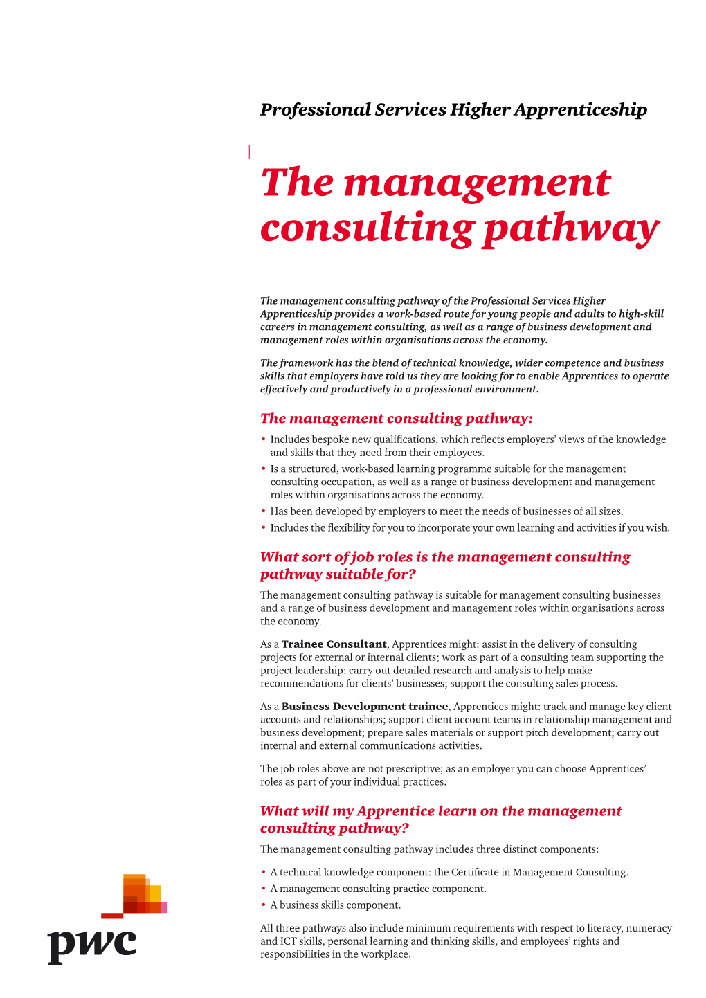 The Management Consulting Pathway