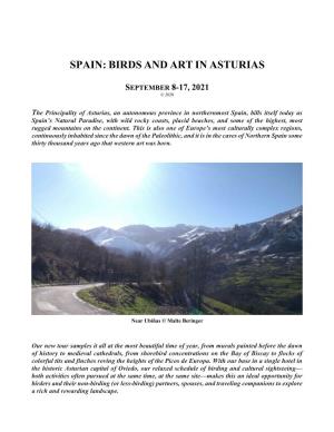 Spain: Birds and Art in Asturias