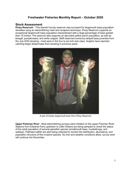 Freshwater Fisheries Monthly Report – October 2020