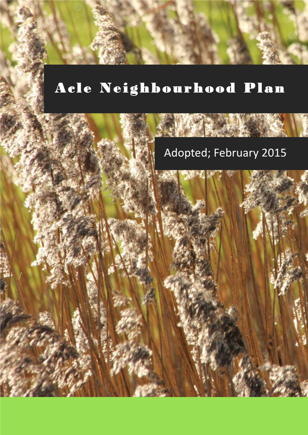 Acle Neighbourhood Plan Working Group Over the Course of 2013 and 2014, Informed by On-Going Consultation and Dialogue with Local Residents and Stakeholders