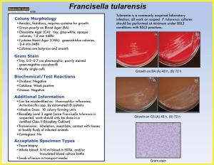 Francisella Tularensis 6/06 Tularemia Is a Commonly Acquired Laboratory Colony Morphology Infection; All Work on Suspect F
