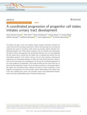 A Coordinated Progression of Progenitor Cell States Initiates Urinary Tract Development