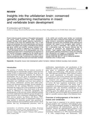 Conserved Genetic Patterning Mechanisms in Insect and Vertebrate Brain Development