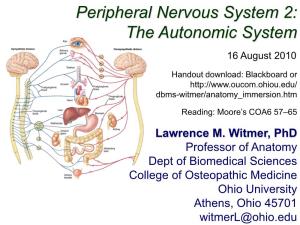 Peripheral Nervous System 2: the Autonomic System 16 August 2010