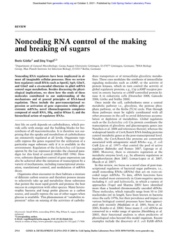Noncoding RNA Control of the Making and Breaking of Sugars