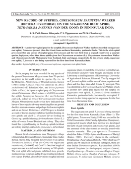 New Record of Syrphid, Chrysotoxum Baphyrum Walker (Diptera: Syrphidae) on the Sugarcane Root Aphid, Tetraneura Javensis (Van Der Goot) in Peninsular India