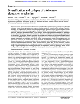 Diversification and Collapse of a Telomere Elongation Mechanism