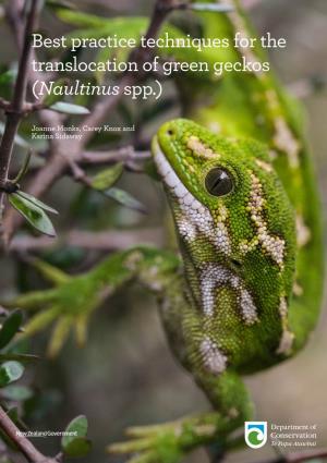 Green Geckos (Naultinus Spp.)