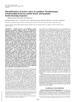 Identification of Active Sites in Amidase: Evolutionary Relationship Between