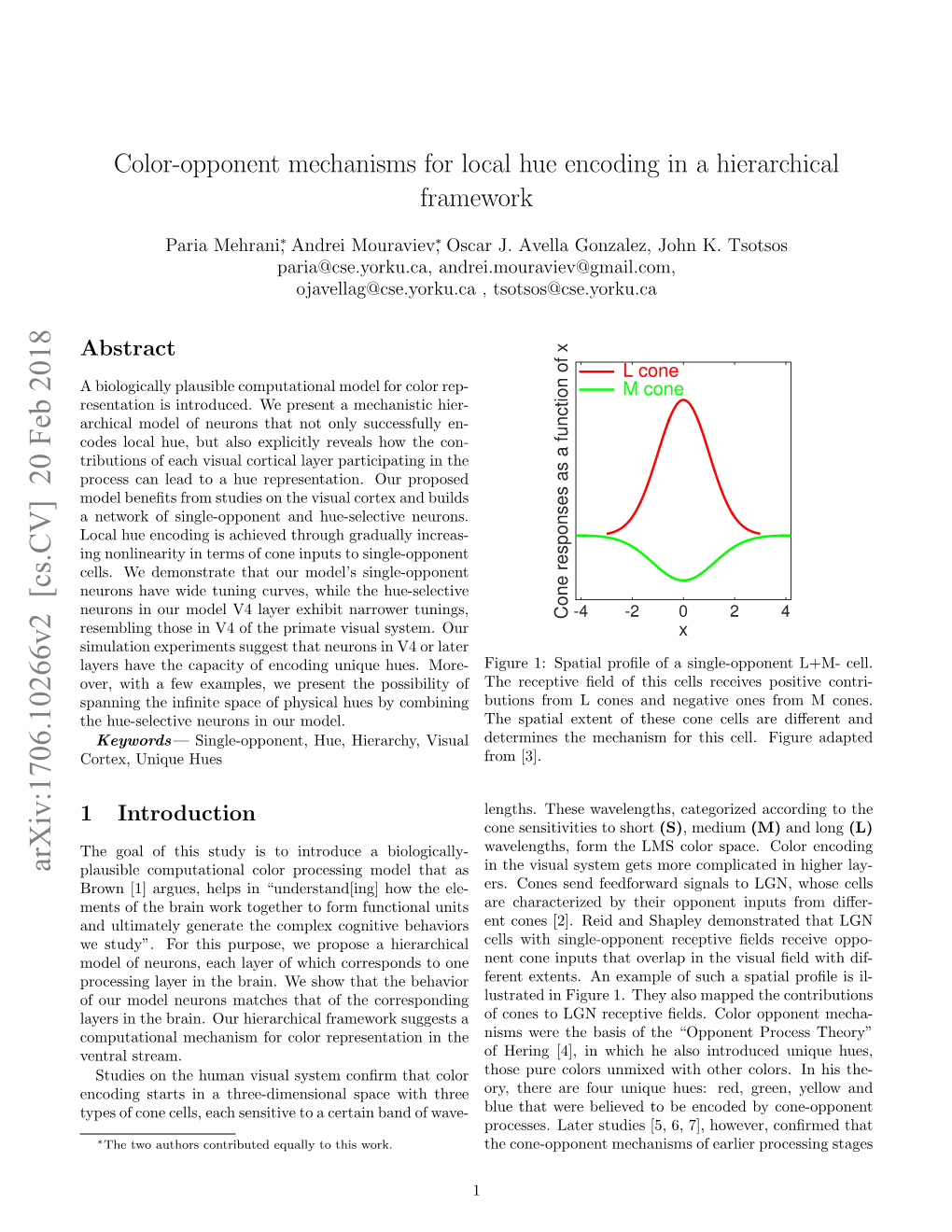 Color-Opponent Mechanisms for Local Hue Encoding in a Hierarchical Framework