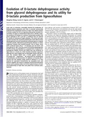 Evolution of D-Lactate Dehydrogenase Activity from Glycerol Dehydrogenase and Its Utility for D-Lactate Production from Lignocellulose