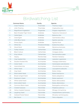 Lista De Aves Villa Lapas