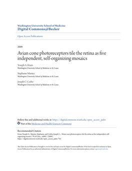 Avian Cone Photoreceptors Tile the Retina As Five Independent, Self-Organizing Mosaics Yoseph A