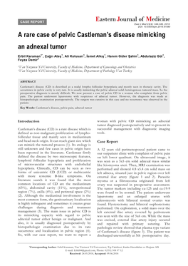 A Rare Case of Pelvic Castleman's Disease Mimicking an Adnexal Tumor