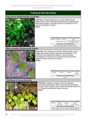 Key Plants Appearing in the Field Guides to Native Plant Communities: Forests & Woodlands