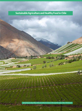 Sustainable Agriculture and Healthy Food in Chile