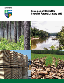 Sustainability Report for Georgia's Forests