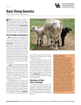 ASC-220: Basic Sheep Genetics