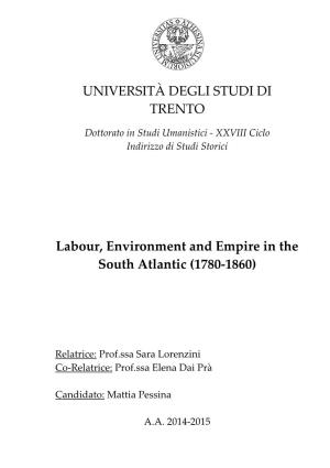 UNIVERSITÀ DEGLI STUDI DI TRENTO Labour, Environment and Empire in the South Atlantic