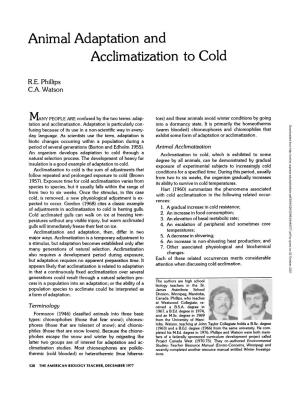 Animal Adaptation and Acclimatization to Cold