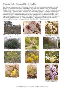 Plant List for Wanniassa Hills – South – 11 June 2003