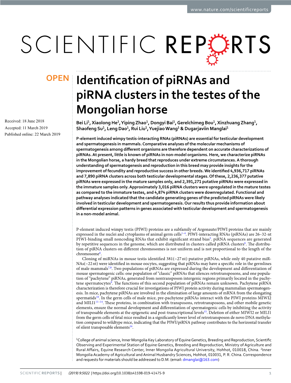 Identification of Pirnas and Pirna Clusters in the Testes of the Mongolian Horse