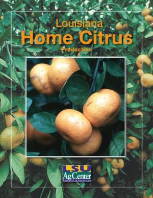Louisiana Home Citrus Production