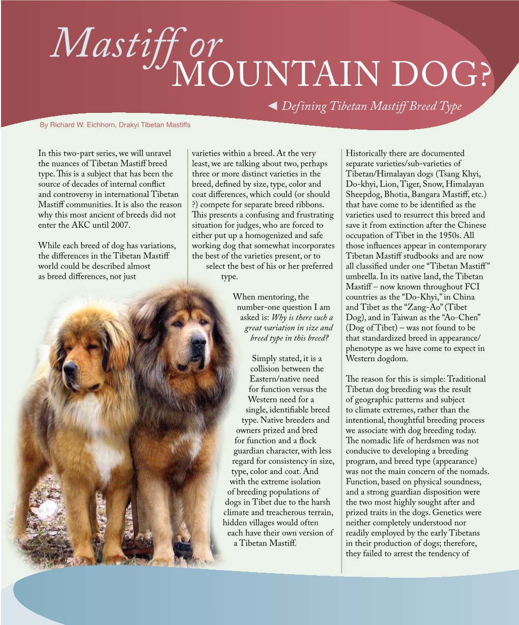 Mastiff Or Mountain Dog? Defining Tibetan Mastiff Breed Type by Richard W