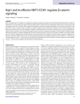 Rap1 and Its Effector KRIT1/CCM1 Regulate -Catenin Signaling
