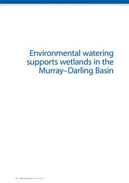 Environmental Watering Supports Wetlands in the Murray-Darling Basin