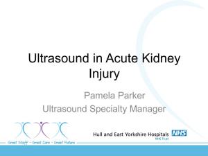 Ultrasound in Acute Kidney Injury