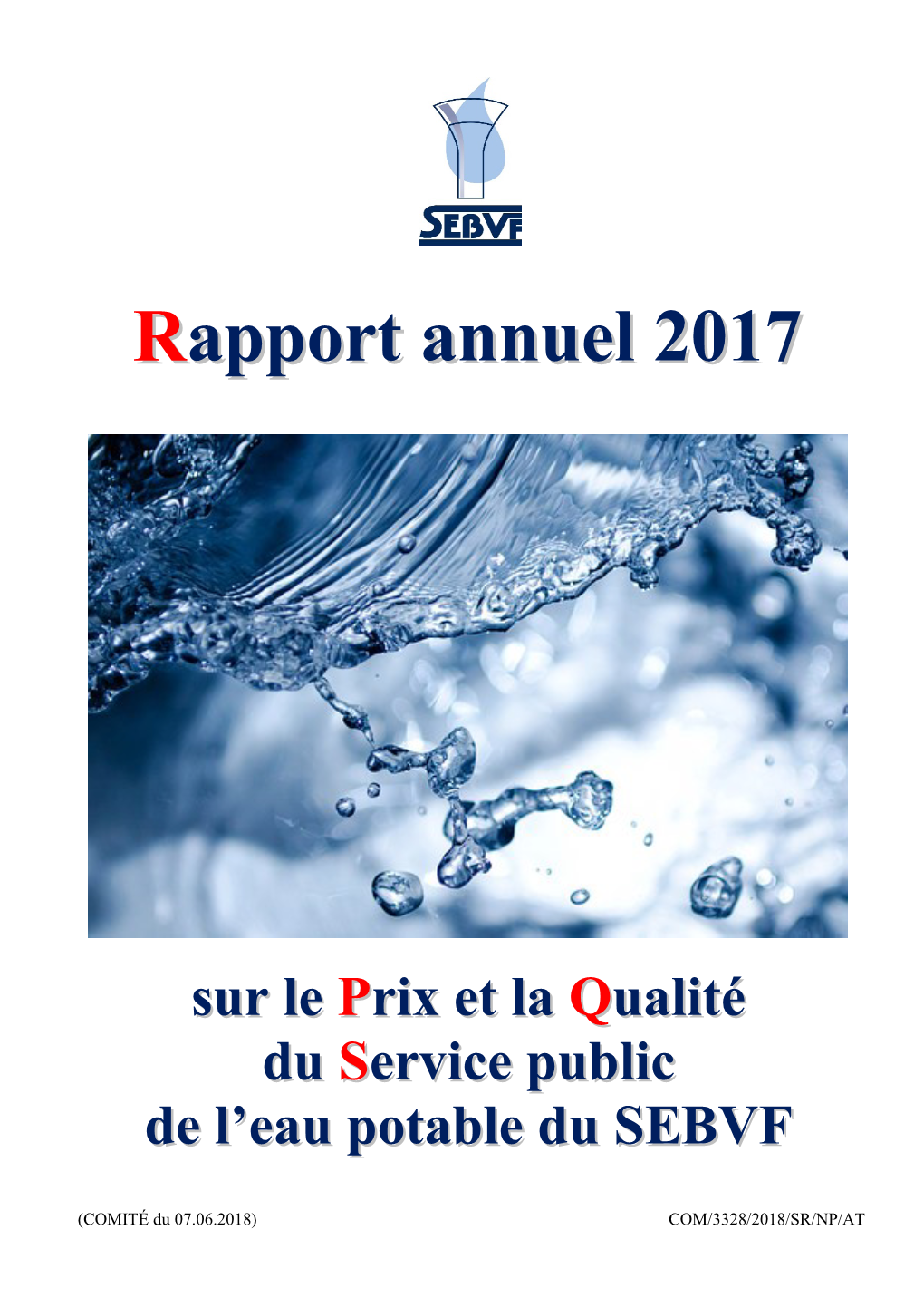 Rapport Annuel 2017