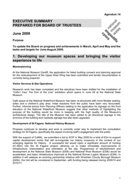 14 Executive Summary June 2009