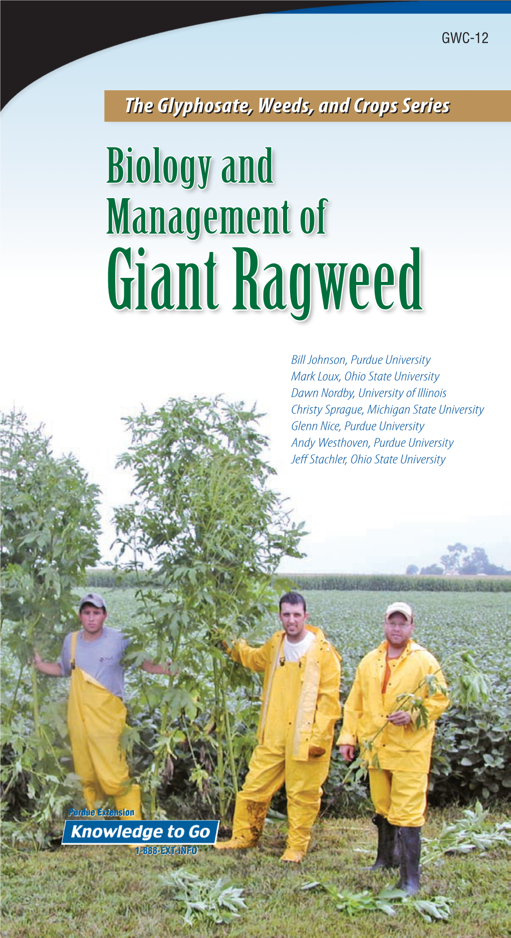 Giant Ragweed