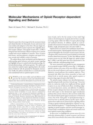 Molecular Mechanisms of Opioid Receptor-Dependent Signaling and Behavior