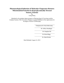 Pharmacological Induction of Molecular Chaperones Restores Mitochondrial Function in Hyperglycemically Stressed Sensory Neurons by Liang Zhang