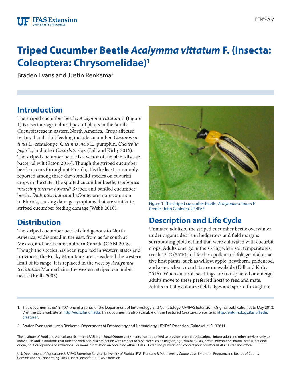 Triped Cucumber Beetle Acalymma Vittatum F. (Insecta: Coleoptera: Chrysomelidae)1 Braden Evans and Justin Renkema2