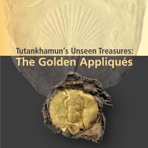 Tutankhamun's Unseen Treasures