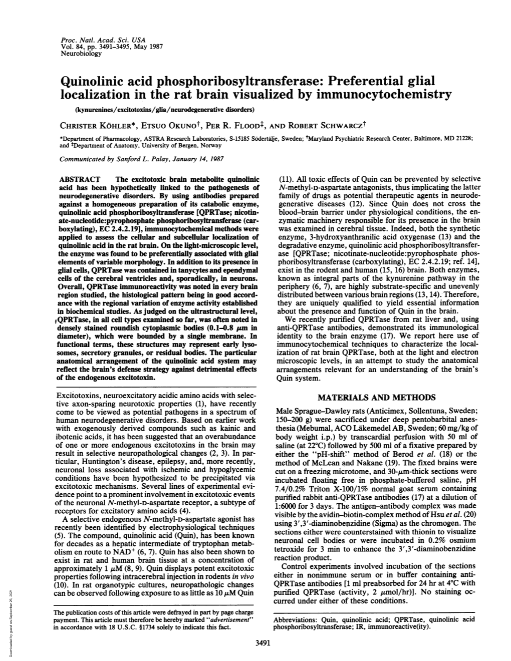 Quinolinic Acid Phosphoribosyltransferase