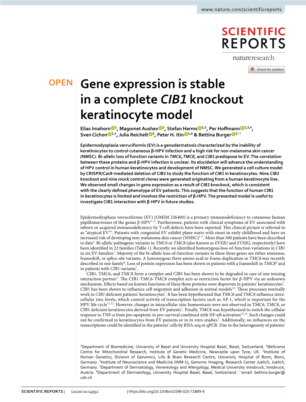 Gene Expression Is Stable in a Complete CIB1 Knockout