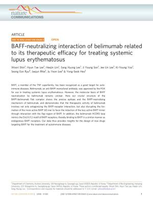 BAFF-Neutralizing Interaction of Belimumab Related to Its Therapeutic Efﬁcacy for Treating Systemic Lupus Erythematosus